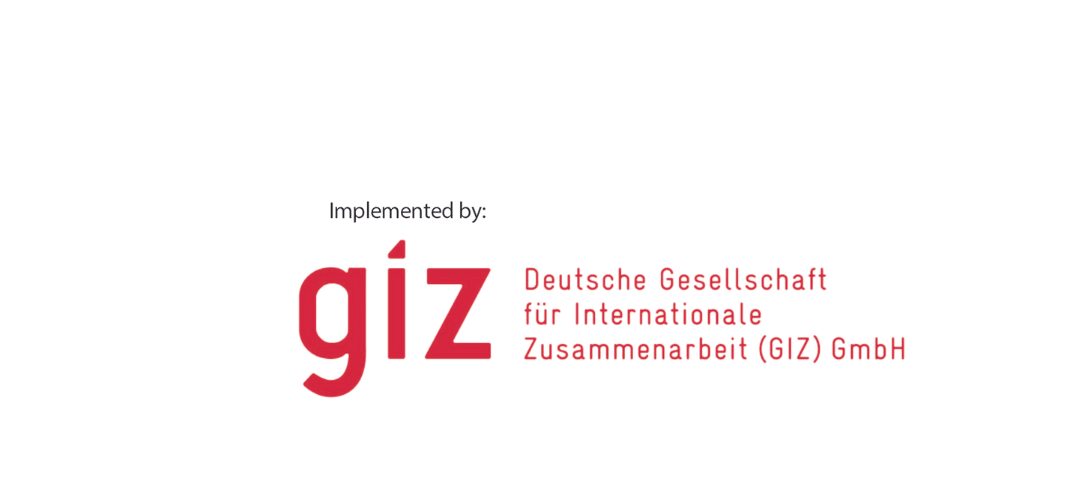 Digital Learning Hub GIZ logo